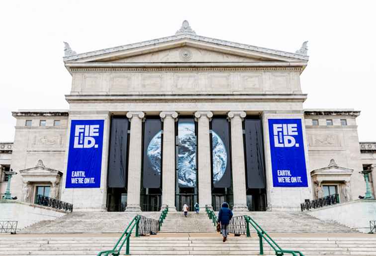 Een uitgebreide gids voor het Field Museum / Illinois