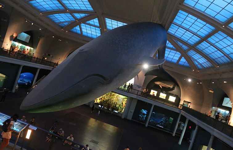 Een gids voor NYC's American Museum of Natural History Tickets & Info / New York