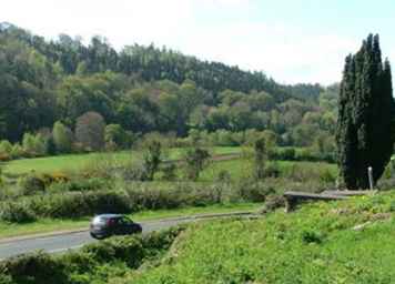 Un recorrido por las montañas de Wicklow / Irlanda