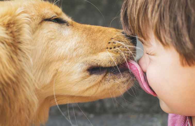 Adotta un animale domestico in questi rifugi per animali di Raleigh-Durham / Carolina del Nord