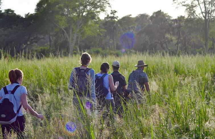 Adventure Travel 101 Gezond blijven tijdens het reizen / Avontuur