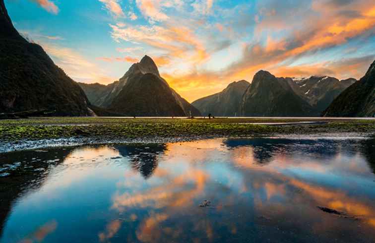 Una expedición inolvidable a Nueva Zelanda