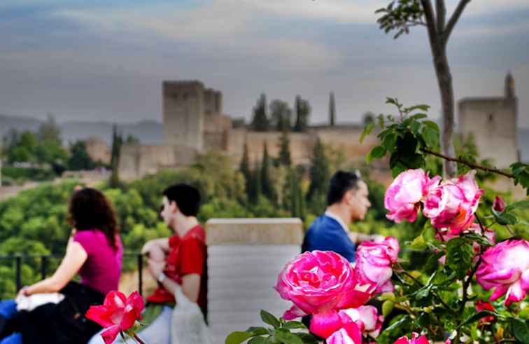 Andalusië Tours vanuit Sevilla / Spanje