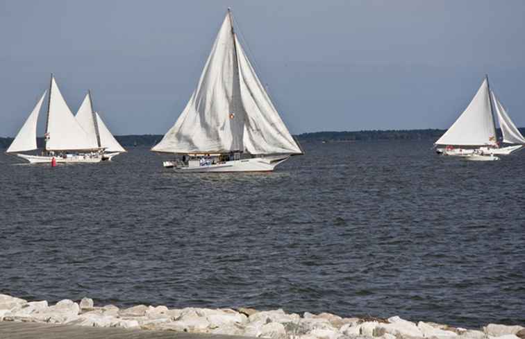 Annapolis, MD Cruises, båtturer och seglingcharter / Washington, D.C..