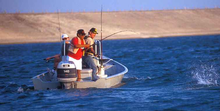 Bass Fishing presso Choke Canyon Reservoir / Texas