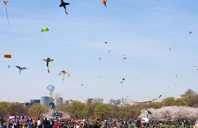 Blossom Kite Festival 2018 a Washington, D.C. / Washington DC.