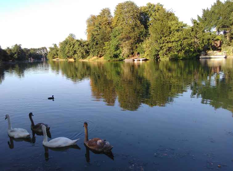 Bois de Boulogne La guida completa / Francia