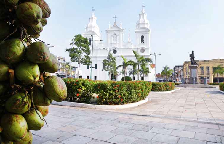 De drukke haven van Belém in Brazilië / Central & SouthAmerica