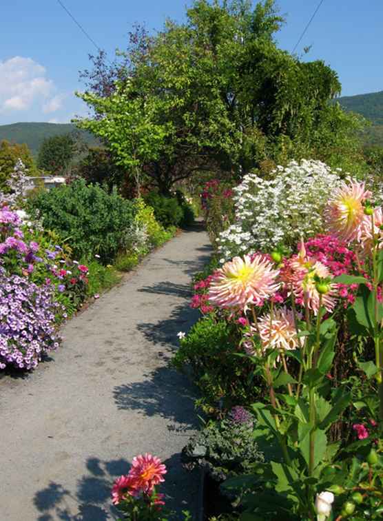 Brug van bloemen / Massachusetts