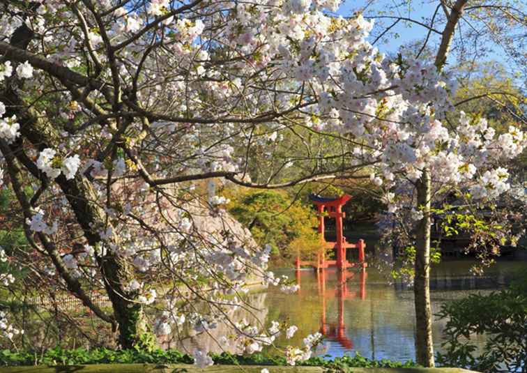 Brooklyn Botanic Garden La guida completa / New York