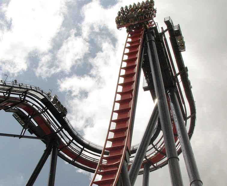 SheiKra e Griffon Coasters di Busch Gardens sono un paio di immersioni / Parchi a tema