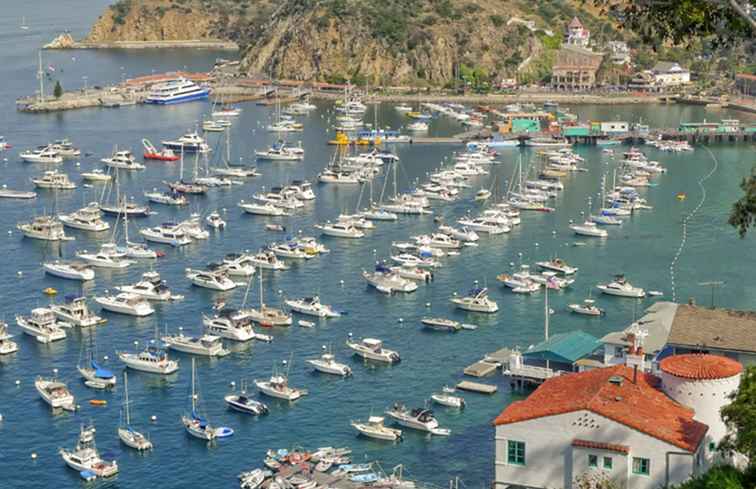 Escapade de week-end à Catalina Island / Californie