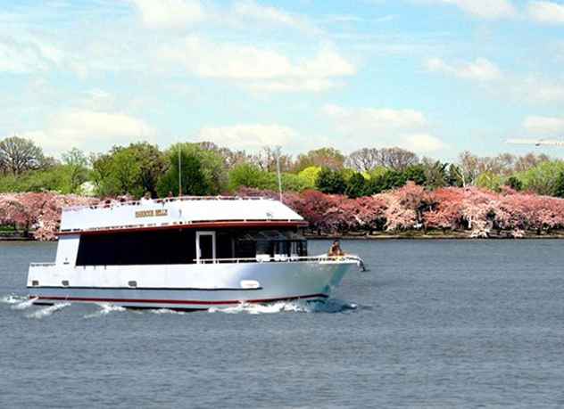 Kirschblüten-Kreuzfahrten in Washington, DC / Washington, D.C.