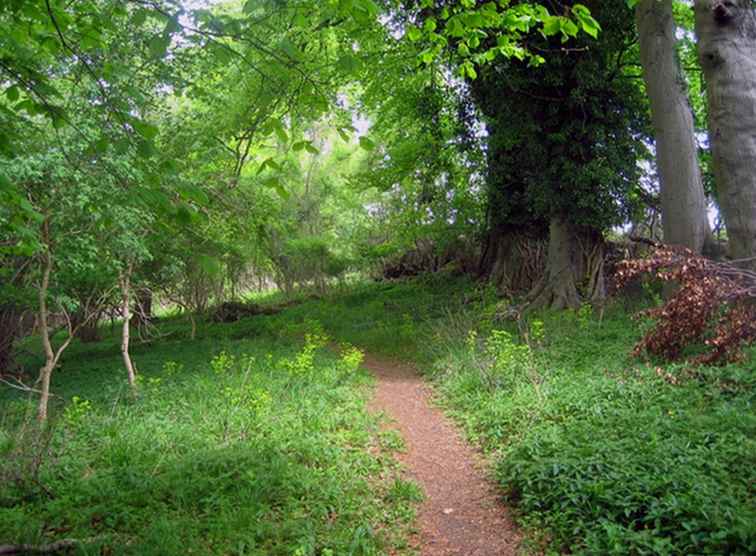 Country Walking - Een gemakkelijke wandeling naar een geweldige pub in Oxfordshire / Engeland