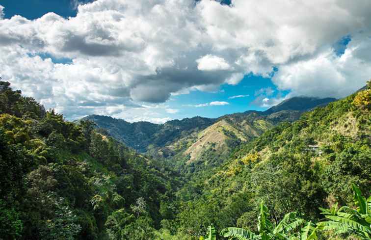 Crimen y seguridad en Jamaica