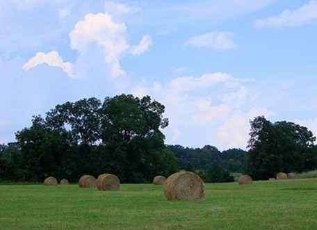 Profitez de l'extérieur à la ferme Shelby Farms de Memphis / Tennessee