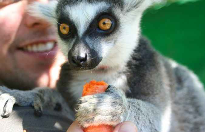 Den Tierpark Leesburg erkunden / Washington, D.C.