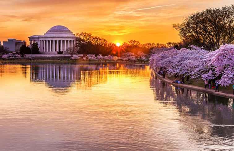 Verkenning van het getijbekken in Washington, D.C. / Washington, D.C..