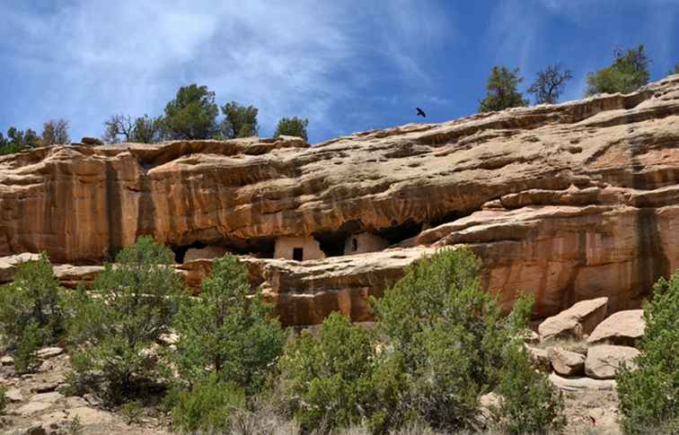 Onderzoek naar de cultuur, tradities en kunst van Zuni in New Mexico / New Mexico