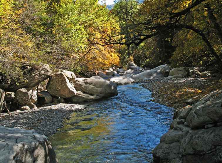 Fogliame di autunno e foglie di autunno in Francia / Francia