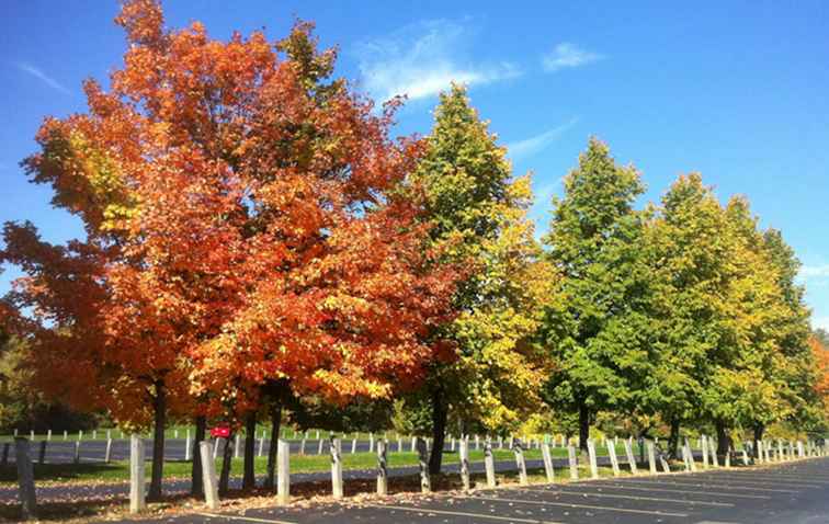 Fall Foliage Tours i Michigan / Michigan