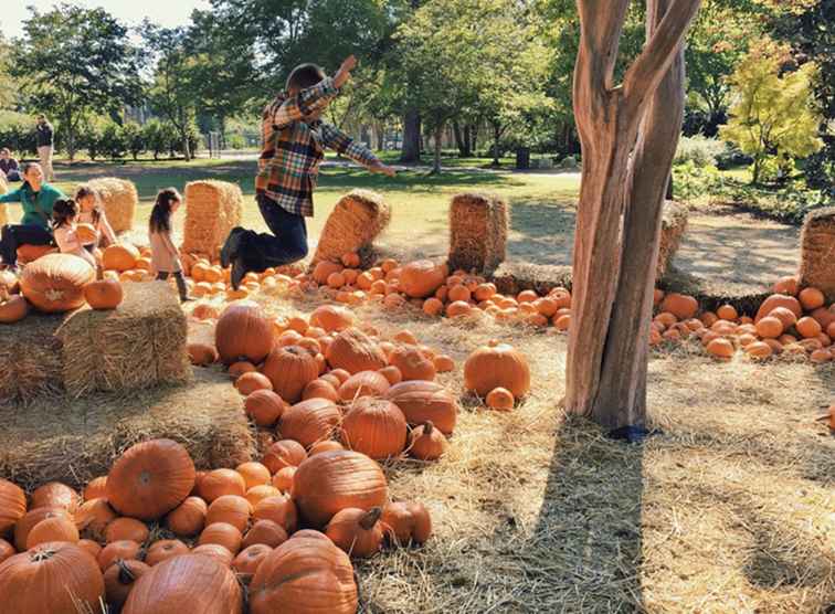 Le destinazioni per le vacanze in autunno in Texas / Texas