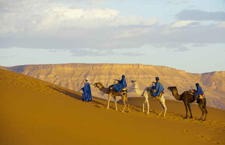 Safaris familiares y vacaciones en África / África y Oriente Medio