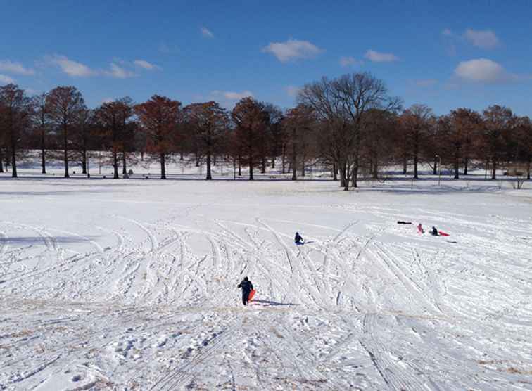 Activités hivernales préférées dans la région de St. Louis / Missouri