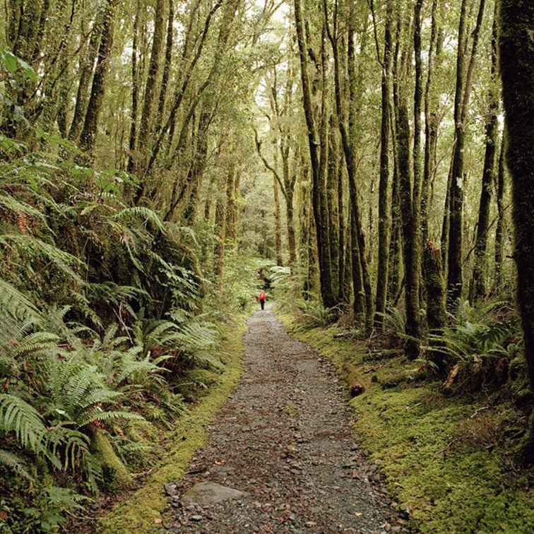 Fiordland Grandes promenades et randonnées / Nouvelle-Zélande