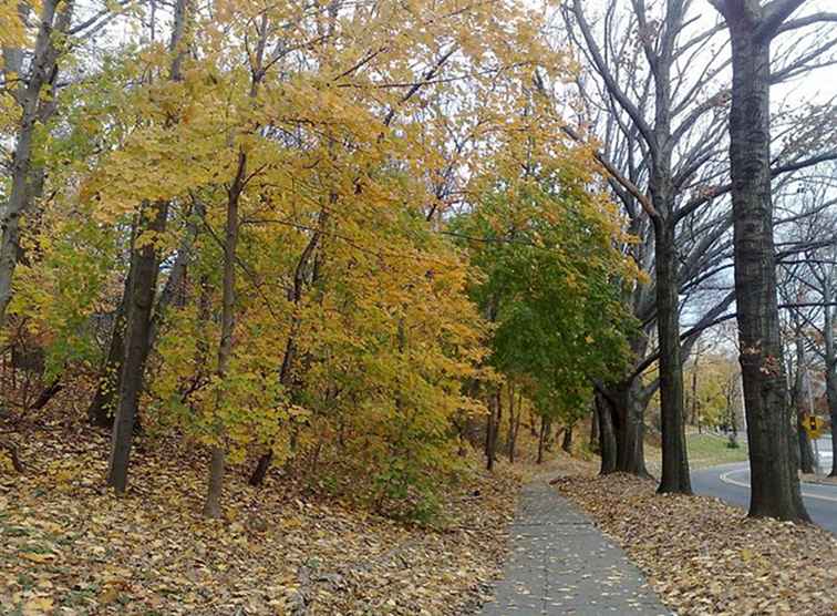 Forest Park, Jewel of Queens, New York / New York