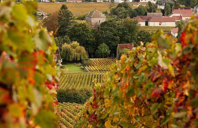 Francia a settembre Meteo, cosa mettere in valigia, cosa vedere / Francia