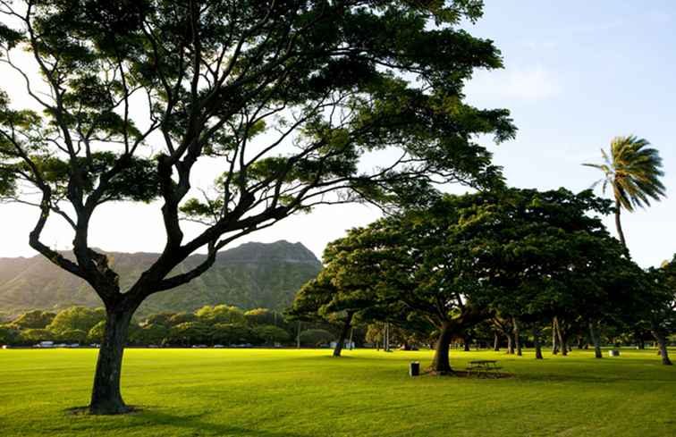 Gratis (of bijna gratis) manieren om Waikiki te genieten / Hawaii