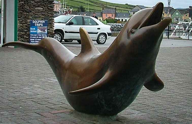 Fungie the Dingle Dolphin / Irlanda