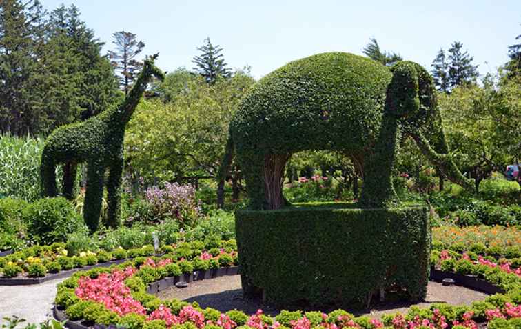 Gli animali verdi sono unici tra i palazzi di Newport / Rhode Island