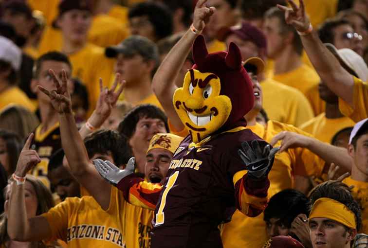 Guida di Arizona Sports Team Mascots / Arizona