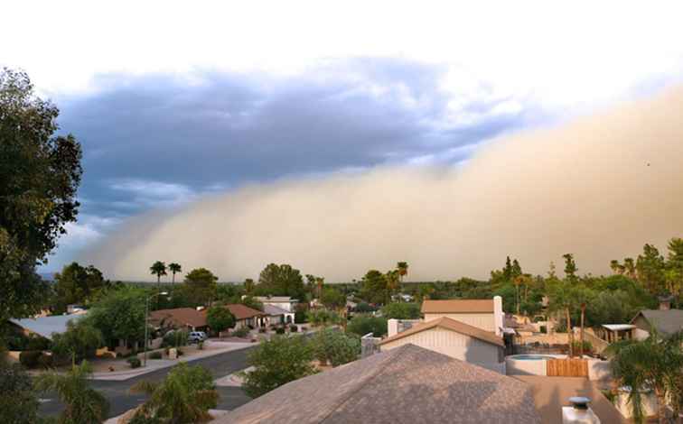 Haboobs und wie man sicher bleibt / Arizona