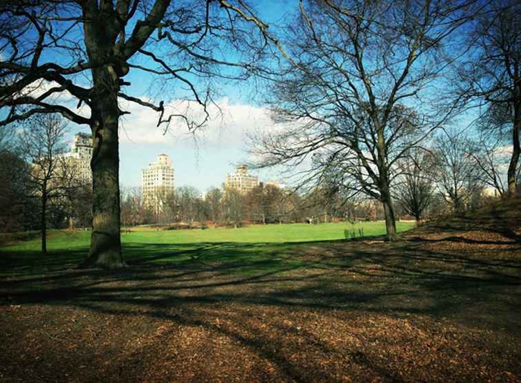 Quanto è lungo il loop di Prospect Park? / New York