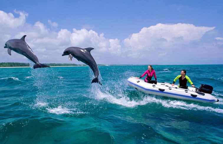 Comment choisir la bonne île des Caraïbes pour vos vacances / 