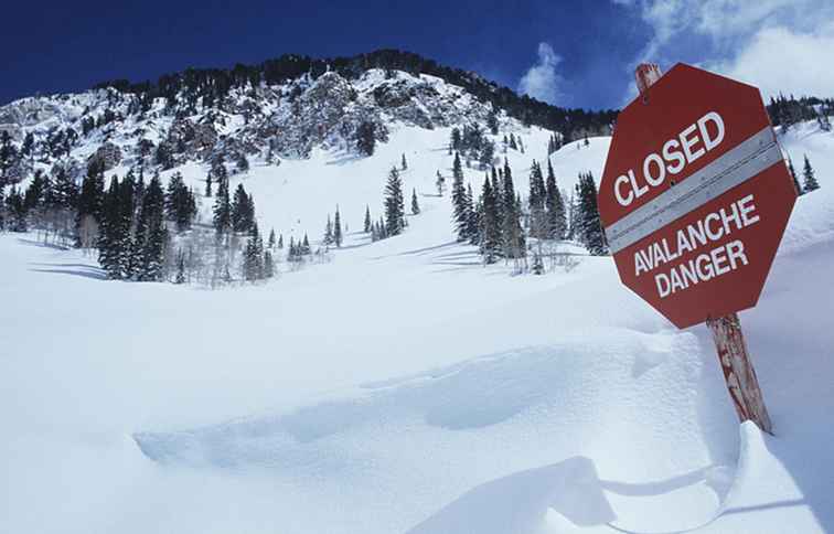 Comment survivre à une avalanche / Sports d'hiver