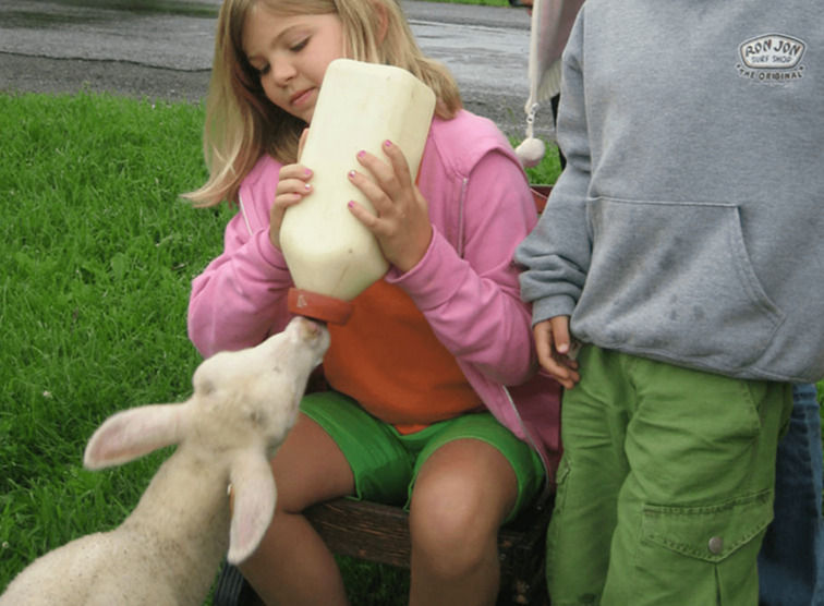 Hull-O Farms in Upstate New York / New York