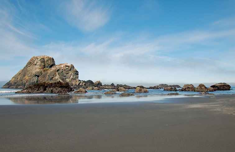 Guida di Nude Beach della contea di Humboldt / California