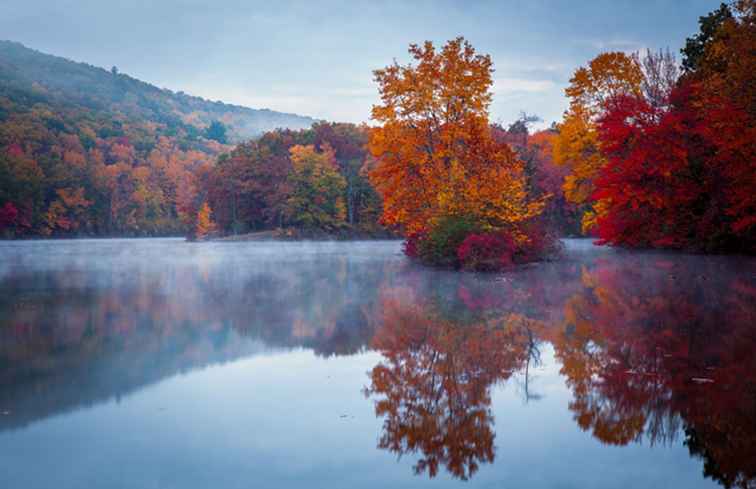 Fatti interessanti su Pennsylvania / Pennsylvania