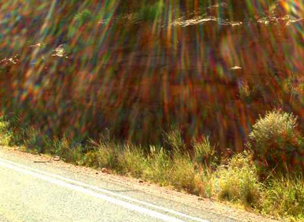 Questa è una fotografia di un vortice di Sedona? Vortex Energy Field Photos / Arizona