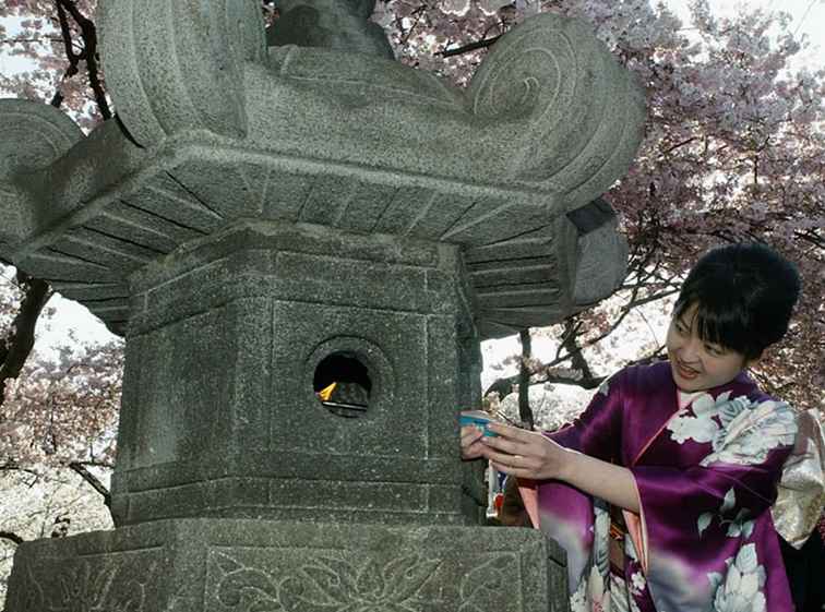 Japanse stenen lantaarn verlichting ceremonie in Washington DC / Washington, D.C..