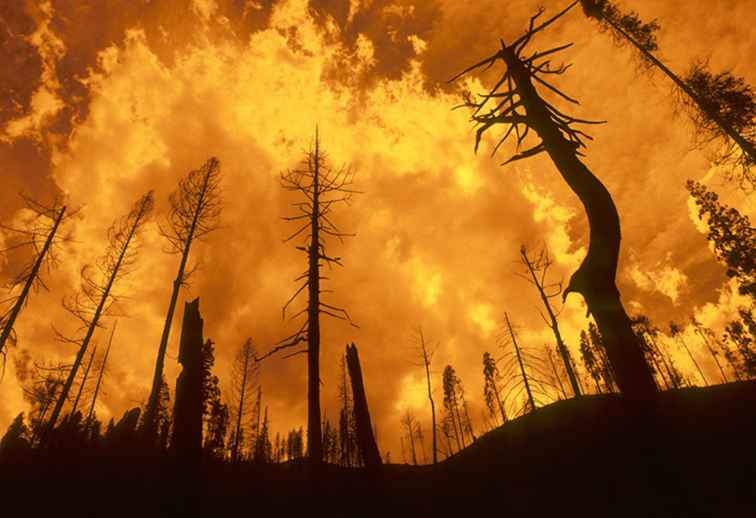 Al passo con lo stato di Northwest Wildfire / 