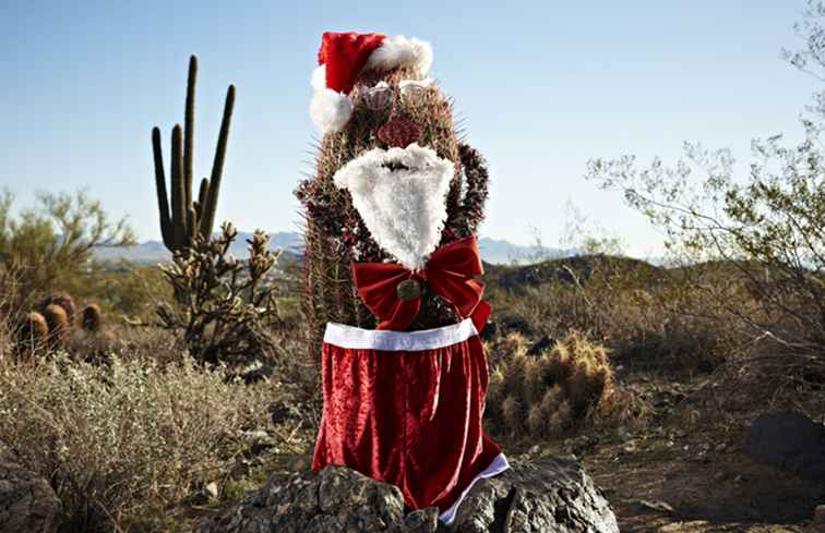 Meer informatie over kerst Luminarias, Farolitos en Southwest Festivities / New Mexico