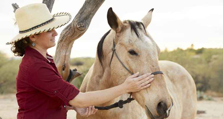 Miraval Equine Experience