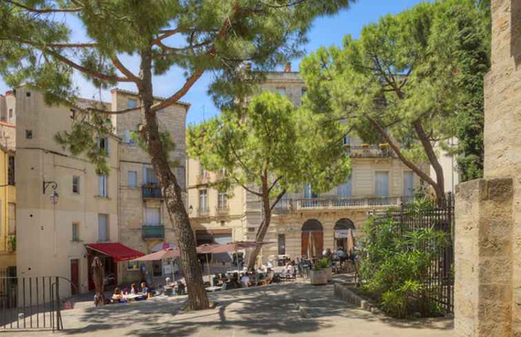 Guía de Montpellier, sur de Francia / Francia