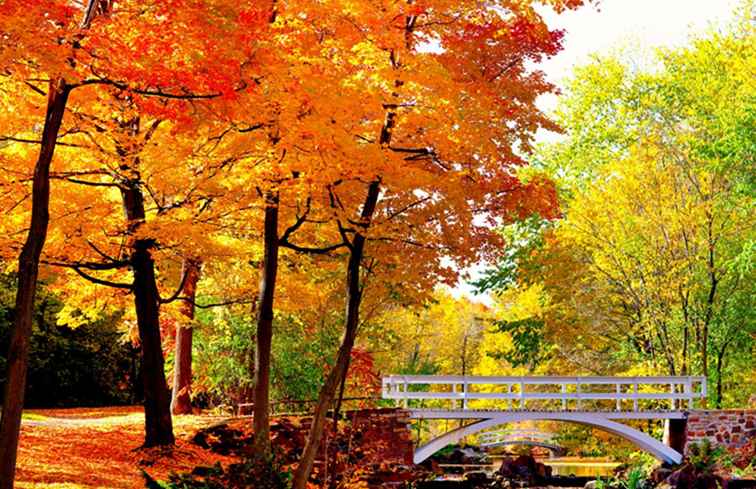 Montreal Fall Lövverk Topp Leaf-Peeping Destinationer