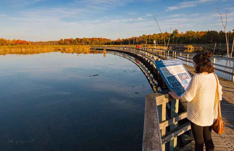 Météo à Montréal en octobre À quoi s'attendre, quoi porter